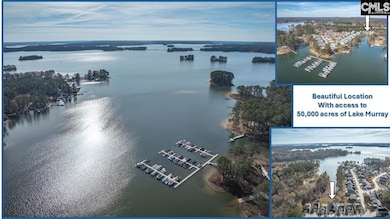 616 Calabria Ct, Chapin, SC 29036 - photo 2