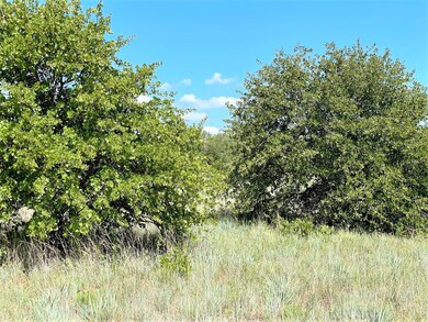 1200 Ross Ln, Springtown, TX 76082 - photo 5