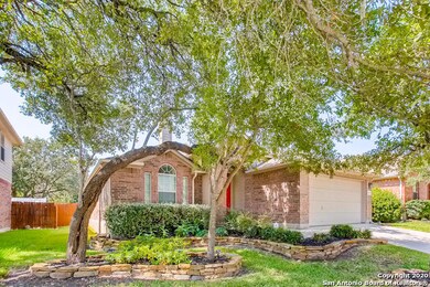 25631 Sago Palm, San Antonio, TX 78261 - photo 2