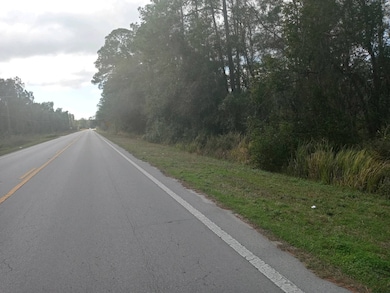 00 E Hwy 316, Fort McCoy, FL 32134 - photo 7