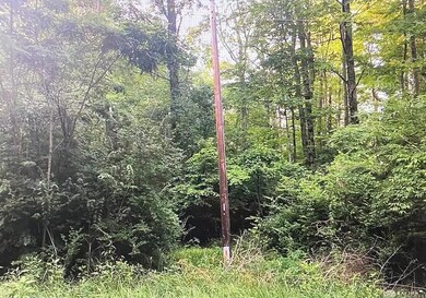 895 Dresden Dr, Perry Township, OH 45118 - photo 4