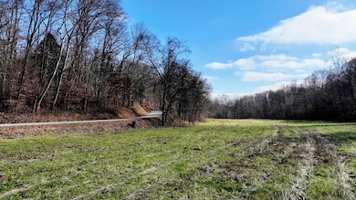 Tract #2 Kirkland Rd, Indian Mound, TN 37079 - photo 3