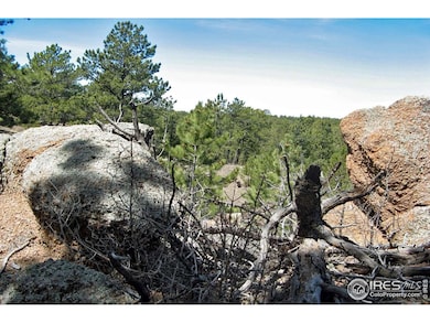 280 Timber Trail, Livermore, CO 80536 - photo 5