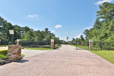 31110 Wild Pecan Dr, Tomball, TX 77375 - photo 7