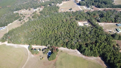 00 Tosha Ln, Salley, SC 29137 - photo 4