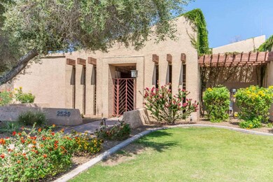 BEAUTIFULLY LANDSCAPED FRONT YARD