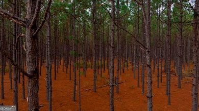 0 Bethel Rd unit TRACT 8 10425061, Sylvania, GA 30467 - photo 6