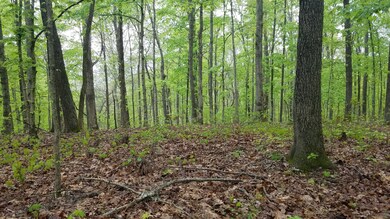 0 Highway 232 unit 2142465, Stewart, TN 37175 - photo 7