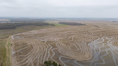 1 Mopac Rd, Brinkley, AR 72021 - photo 2