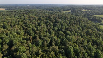 0 Rock Springs Rd unit RTC2964004, Cumberland Furnace, TN 37051 - photo 6