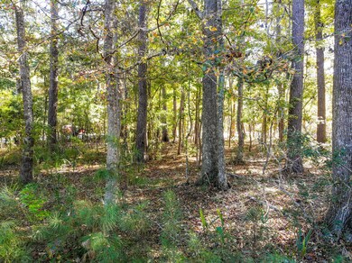 1484 Dupree Creek Ln, Mount Pleasant, SC 29429 - photo 6