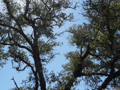 10406 Kendall Canyon, San Antonio, TX 78255 - photo 7