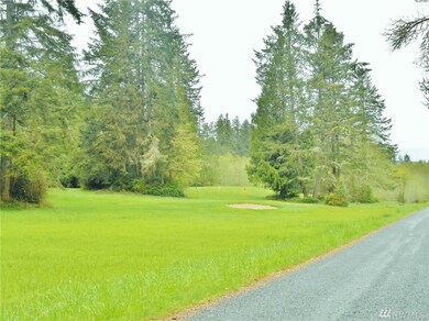 8914 Otso Point Rd, Anderson Island, WA 98303 - photo 7