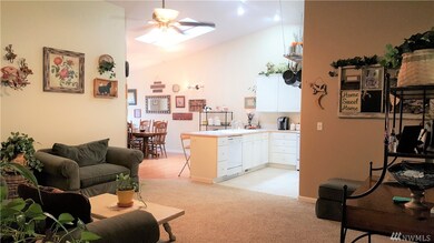 15531 104th Place SE, Yelm, WA 98597 - photo 5