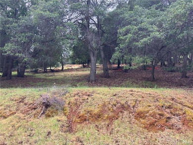 3153 S Lake Dr, Kelseyville, CA 95451 - photo 3