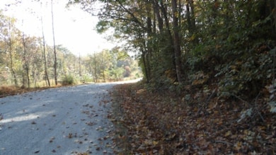 0 Moss Arcot Rd, Celina, TN 38551 - photo 2