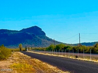 0 W unit 6951225, Aguila, AZ 85320 - photo 4