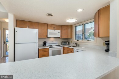 3101 Skipjack Ln, Ocean City, MD 21842 - photo 7