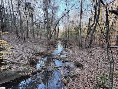 0 Eastview Rd, Pelzer, SC 29669 - photo 4