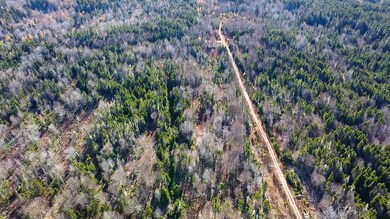 Map 04 Lots #2-15 2-16 Yellow Birch Rd, Whiting, ME 04691 - photo 4