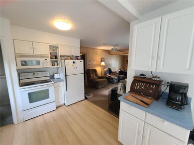 1001 25th St, Chetek, WI 54728 - photo 4