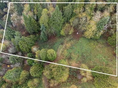 205 Newt Estates Rd, Longview, WA 98632 - photo 6