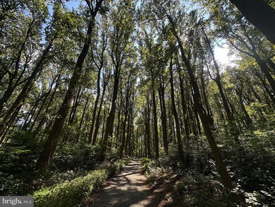 0 Blue Ridge Mountain Rd unit VALO2105128, Paris, VA 20130 - photo 3