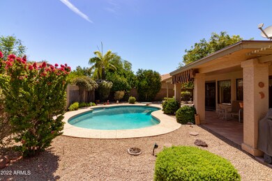 Backyard with Pool