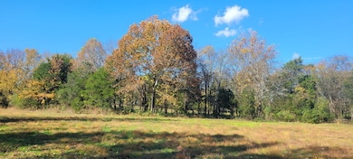 8 Farris Ln, Shelbyville, TN 37160 - photo 2