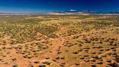 2807 S Goldenrod Dr, Williams, AZ 86046 - photo 4