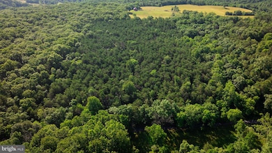0 14 5 Ac Pcl A- Off Virginia Line Rd, Berkeley Springs, WV 25411 - photo 6
