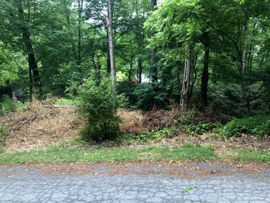 0 Germantown Rd unit 740872, Jim Thorpe, PA 18229 - photo 5