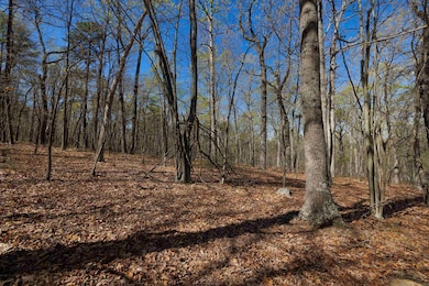 TBD Shotgun Spring Rd, New Market, VA 22844 - photo 4