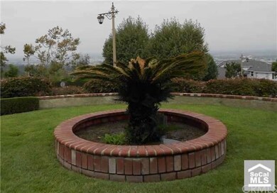 Well manicured yard