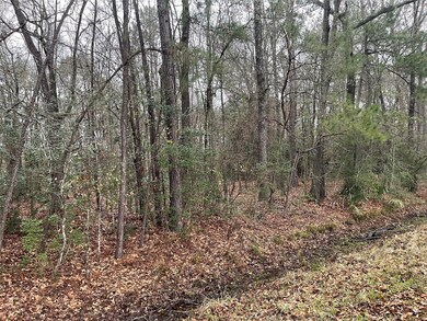 00 Allendale Ln, Conroe, TX 77302 - photo 3