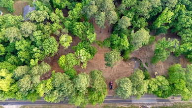 tbd E Pliler Precise Rd, Longview, TX 75605 - photo 6