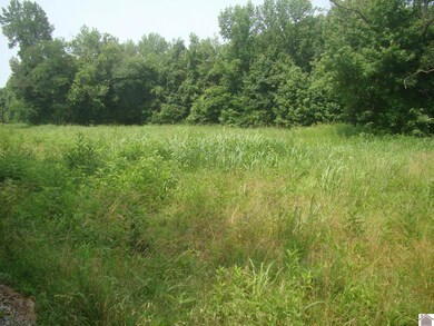 100 Howdy Doody Dr, Cadiz, KY 42211 - photo 3