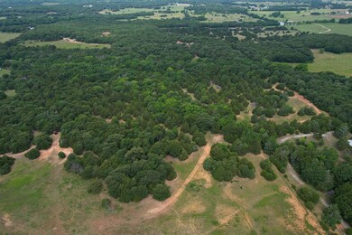 1309 County Road 109, Whitesboro, TX 76273 - photo 6