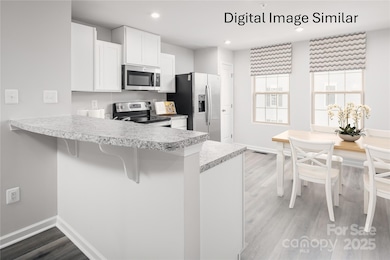 1431 Richardson Towns Ct unit 1008B, Charlotte, NC 28208 - photo 2