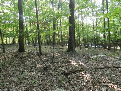 0 Rockridge Rd unit 1019218, Asheboro, NC 27205 - photo 2