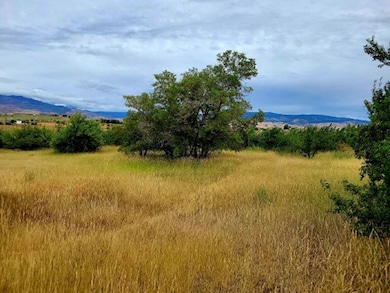 TBD Mesa Rd, Mesa, ID 83643 - photo 5