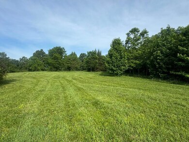 IMG_1882