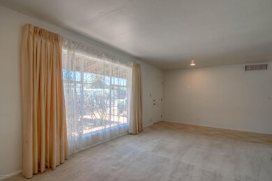 11 Living Room photo c