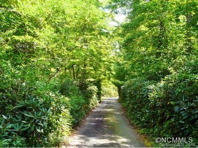 Tree-lined approach