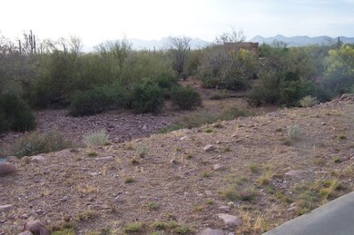 Northwest Views