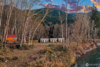 250 Cedar Grove Rd, Randle, WA 98377 - photo 2