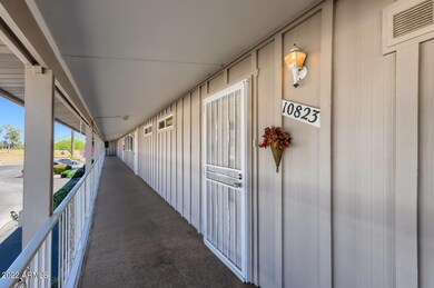 10823 N Fairway Court Sun City AZ - Web