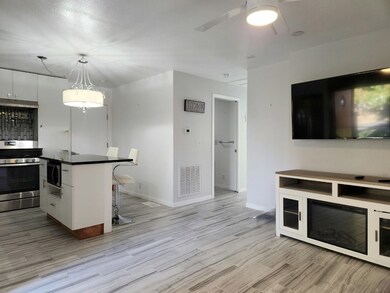 403 Plum St, Fredericksburg, TX 78624 - photo 5