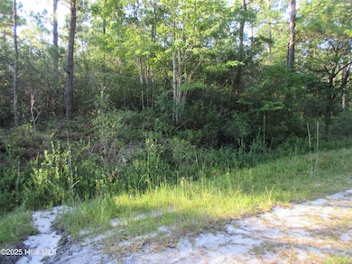 1300 Beech Rd, Boiling Spring Lakes, NC 28461 - photo 2