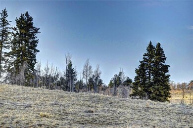 6206 Remington Rd, Como, CO 80432 - photo 6